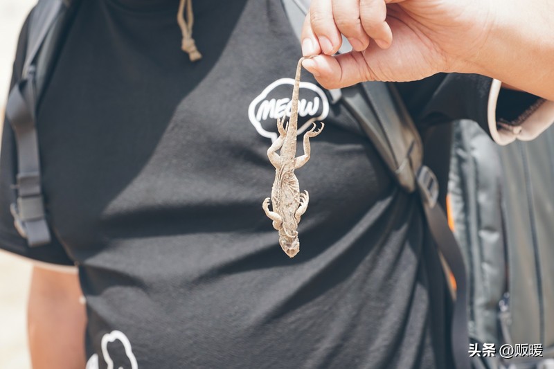 青海｜热爱西风和烈酒，也爱孤独和自由