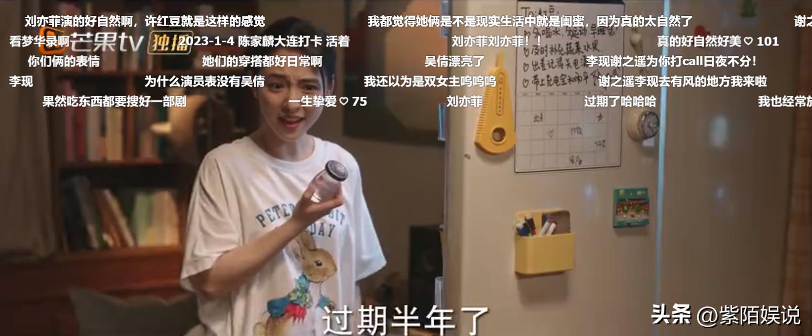 刘亦菲去有风的地方演技吐槽,去有风的地方刘亦菲和其他人同框