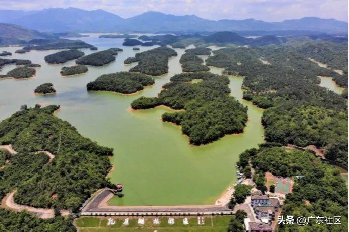 春季国内观鸟热门地,这份观鸟地图请收好