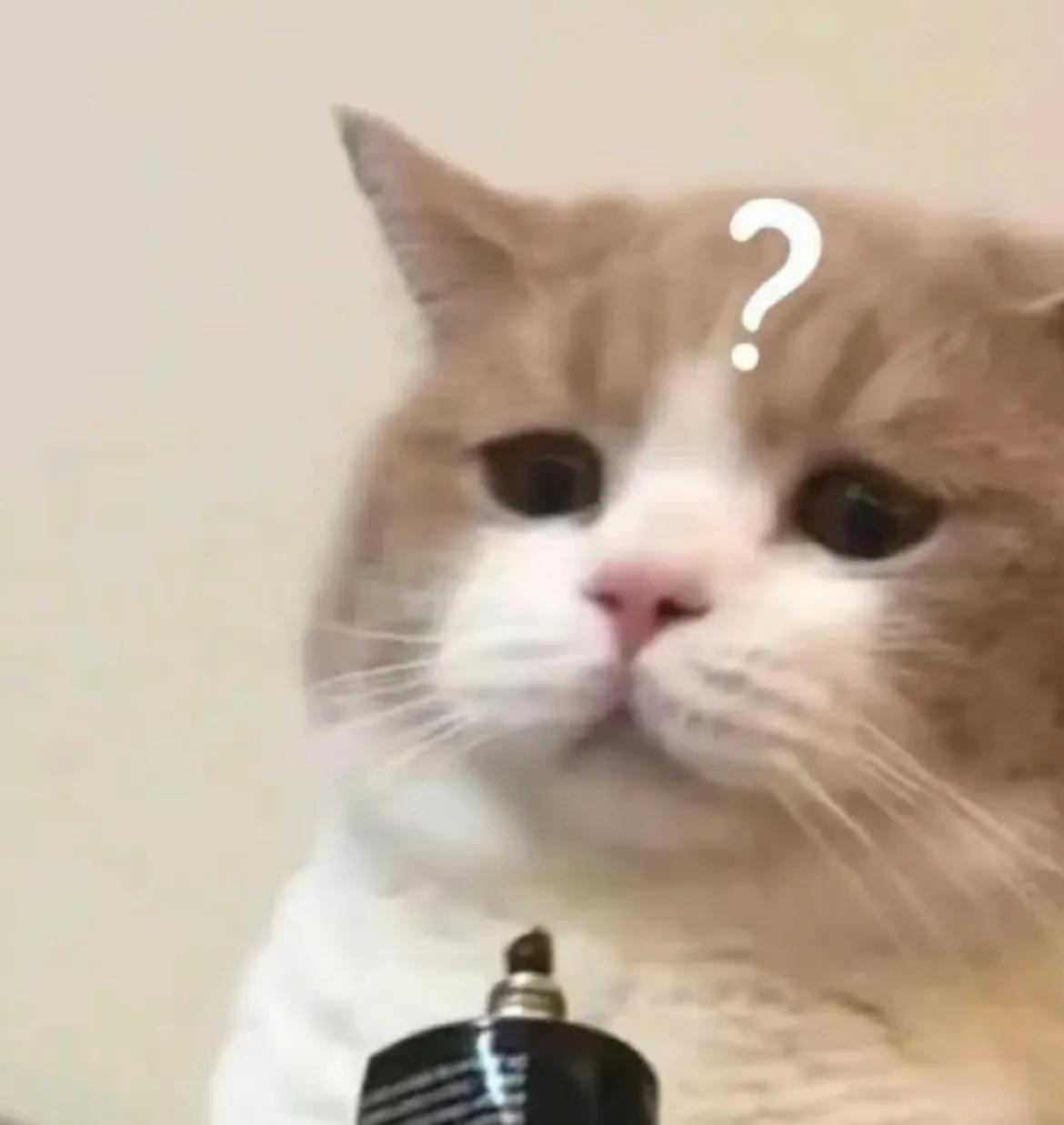 警察过肩摔制服毒贩,民警过肩摔毒贩