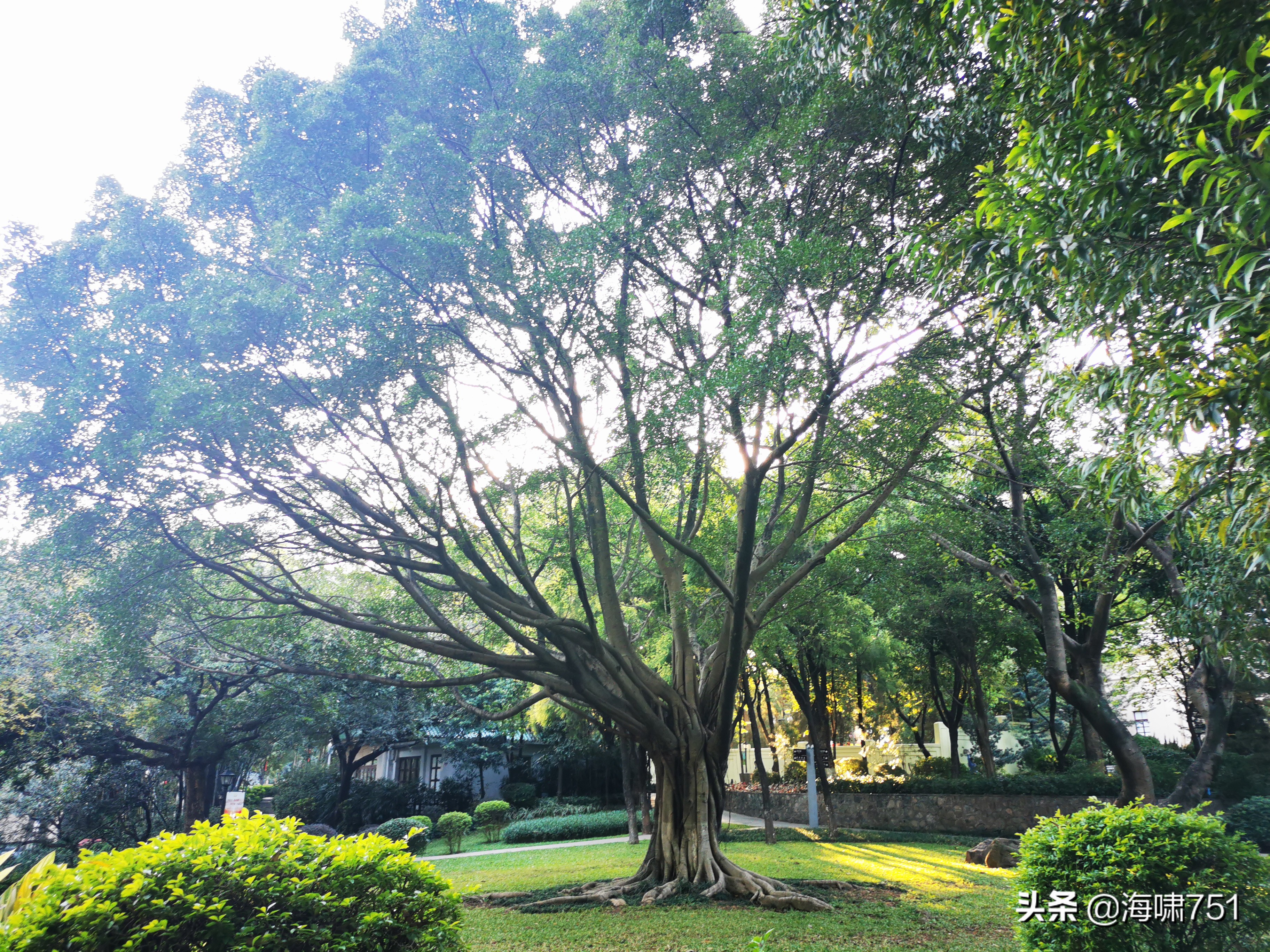 黄花岗公园开放时间,黄花岗公园停车