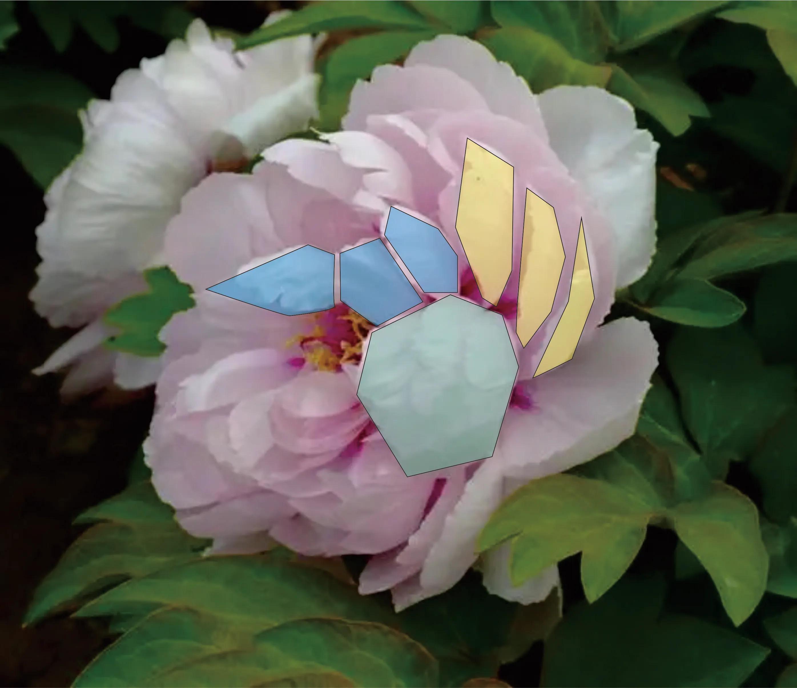 画怎样准确造型,画侧面的两种方法