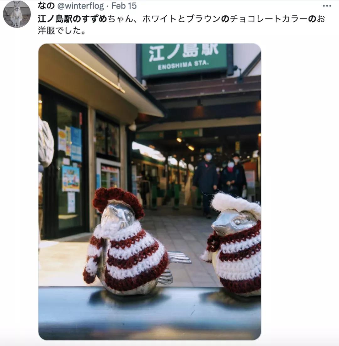 害怕小鸟受凉，有人悄悄为它们织了22年的毛衣