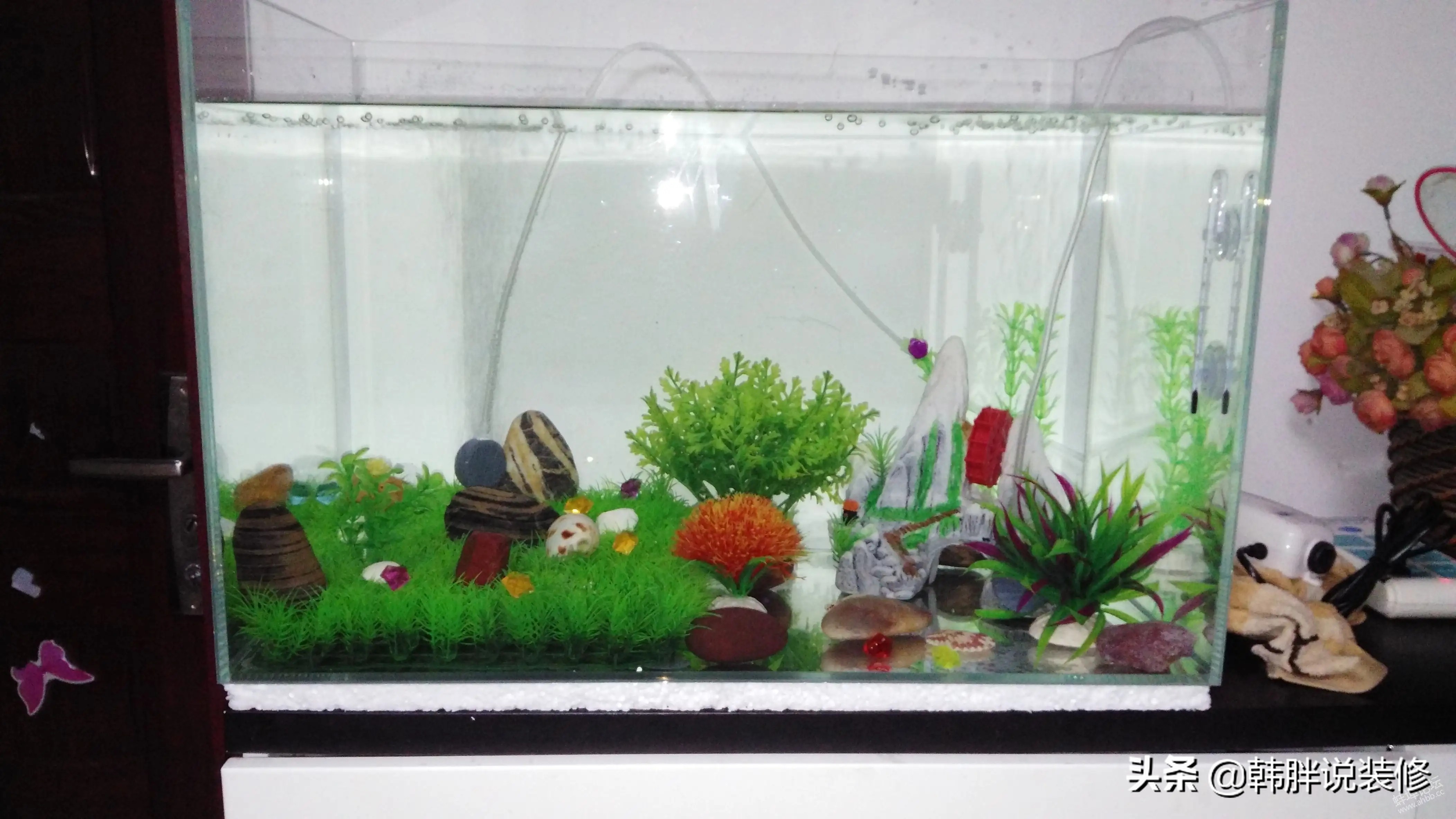 电视机旁不要放这四样东西,电视机前不能摆放的四种物品