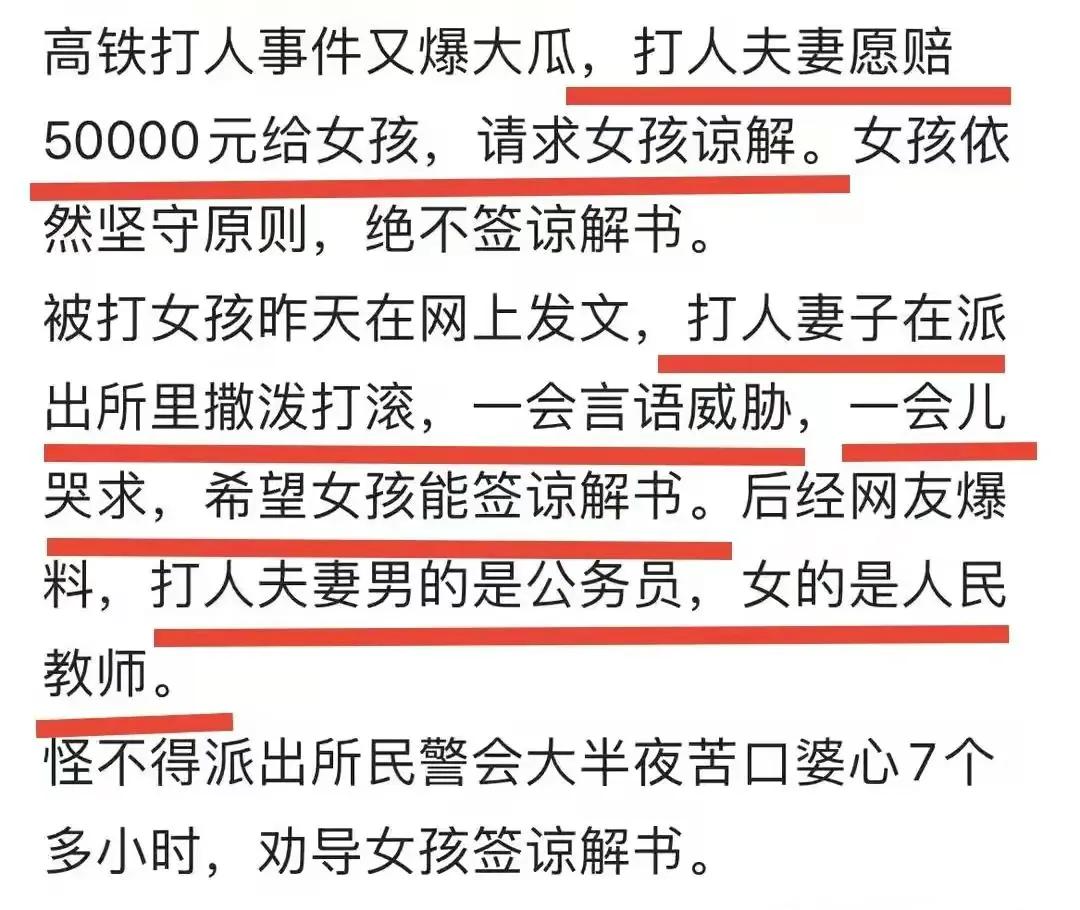 高铁掌掴事件打人夫妇是谁,高铁掌掴事件定性为互殴原视频