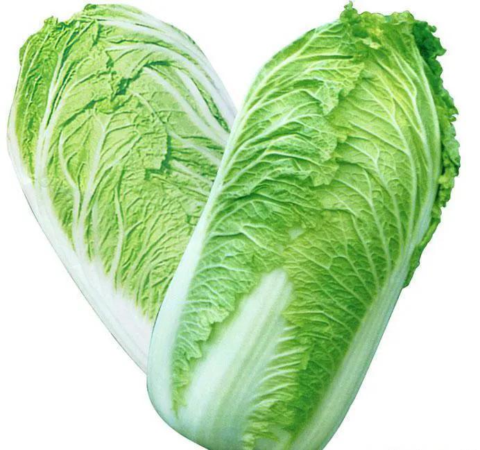 可以作为鱼饵的动植物有哪些,什么样的藻类植物可以做鱼饵