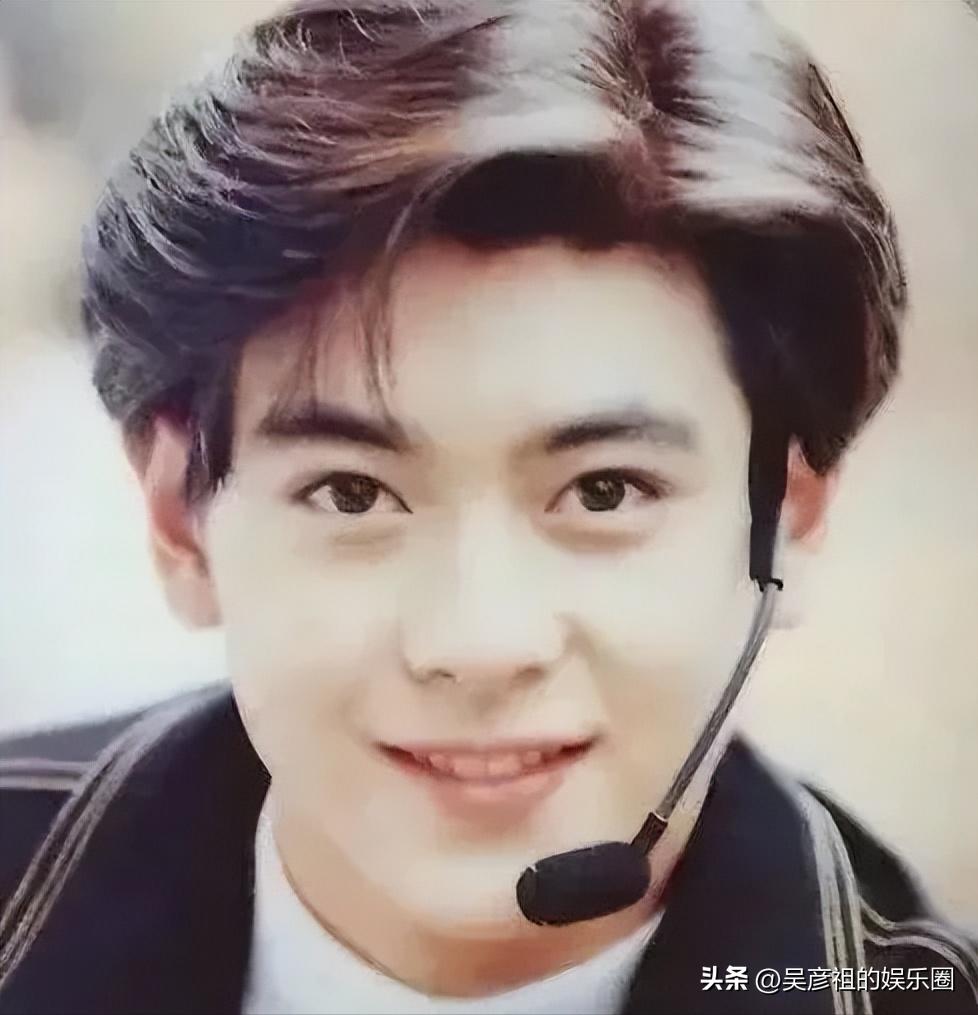 推荐一下娱乐圈中比较帅的男明星,娱乐圈里英气迷人的男星