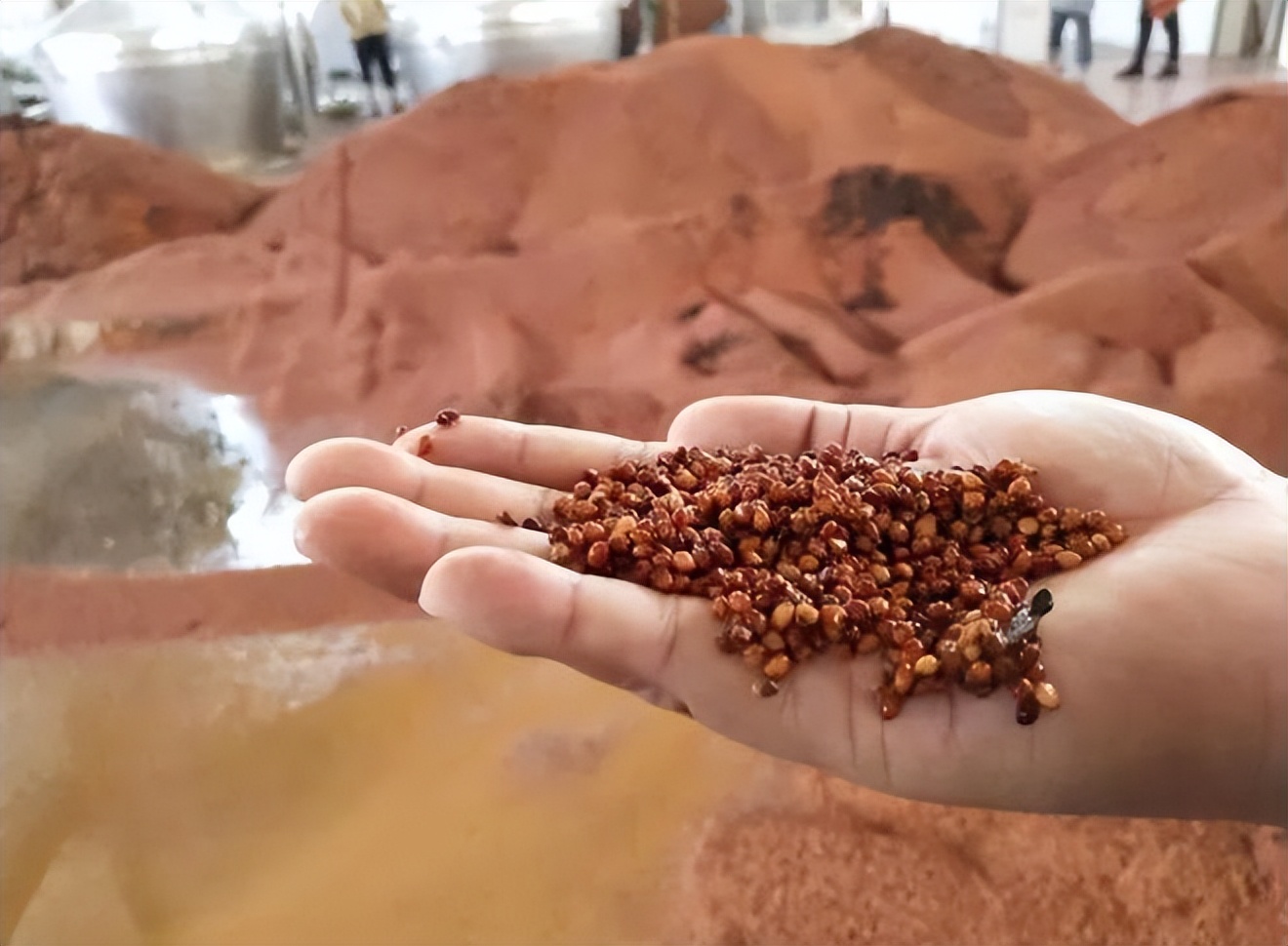 江苏人喝什么牌子口粮白酒,江苏人廉价口粮酒