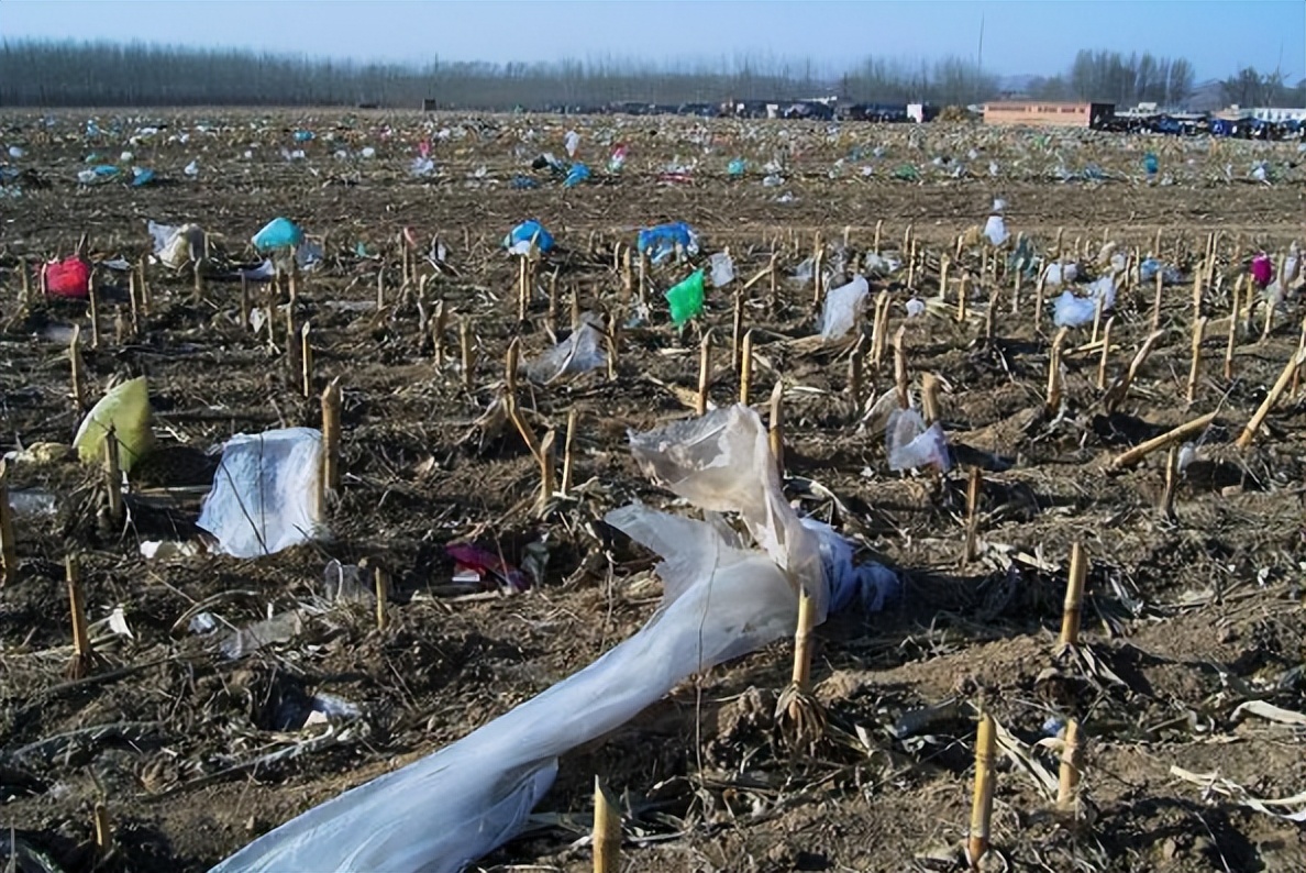 是谁在砸中国人的饭碗？400年才形成的黑土，4元一斤在网上被盗卖