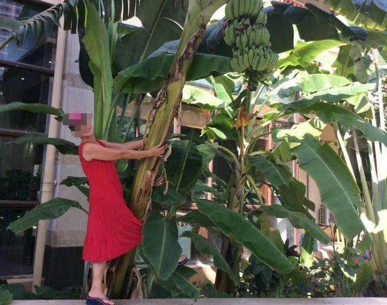 印度公认第一大美人,印度公认的第一美人