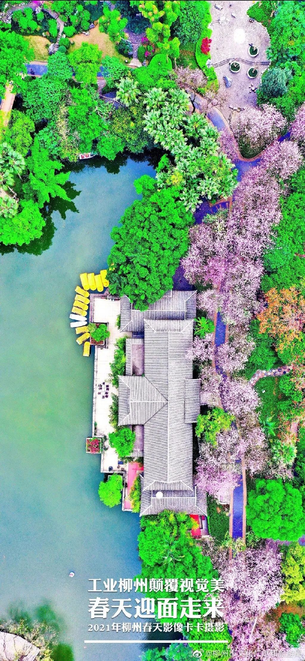 春天，我想到一座城，吃粉粉，看粉粉