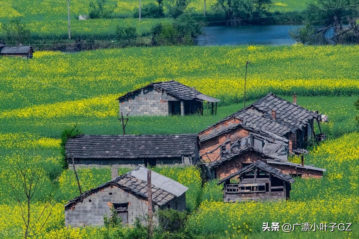 广州生活录,广州生活纪录片全集