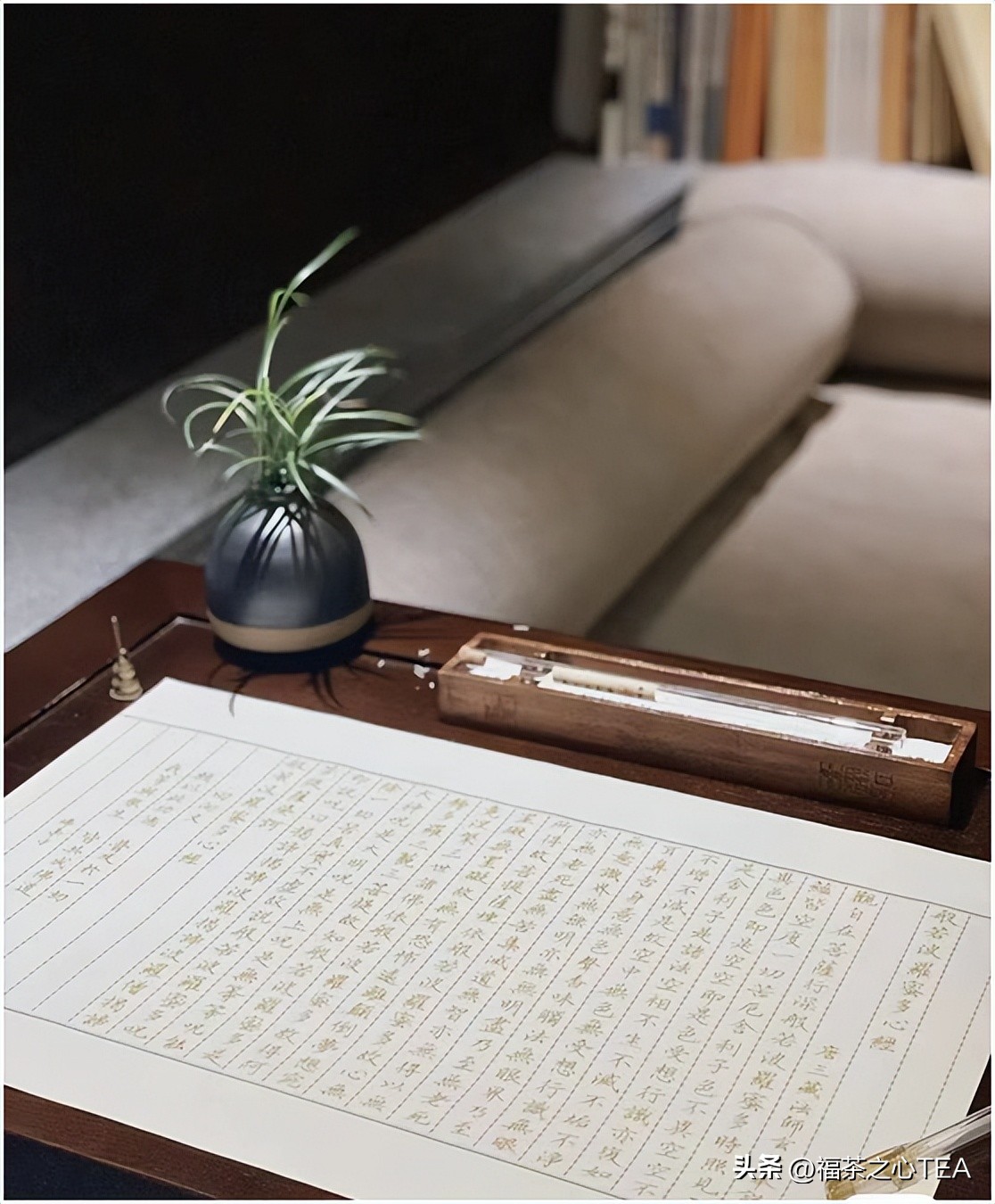 佛媛、茶媛、艺媛……还分级别？揭底“名媛”圈真实的鄙视链