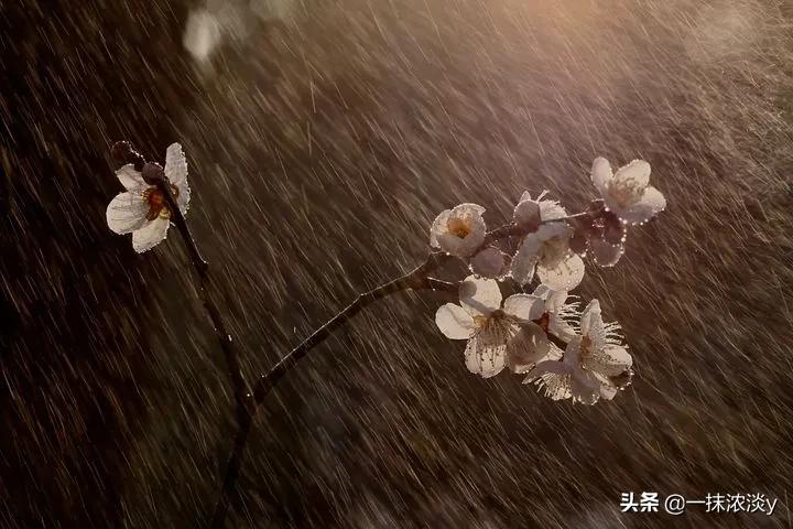 老人不带孙子出去租房,老人有家不回宁愿住在破旧房子