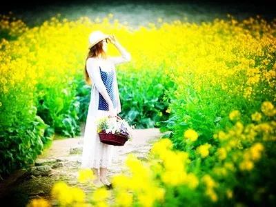 李博陕西,李博陕西青年