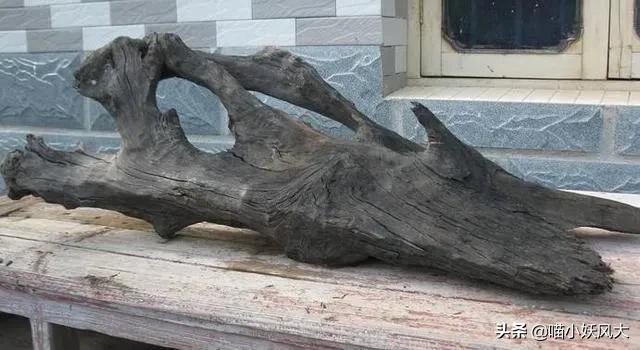 四川今年挖出乌木视频,四川梓潼挖出13米长千年乌木