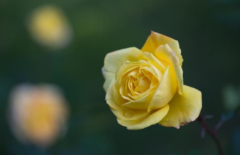 女人这样称呼你就是认定你了,女人如果对你用这几种称呼