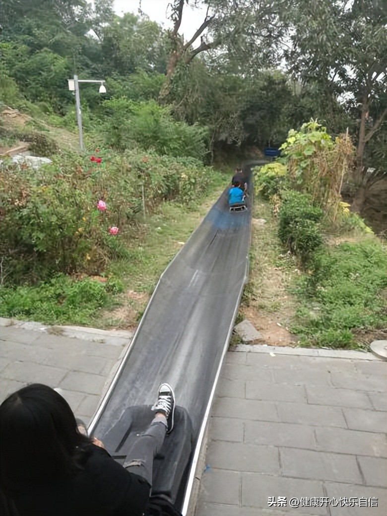 大型游乐设备基础知识,大型游乐设施特种设备标准