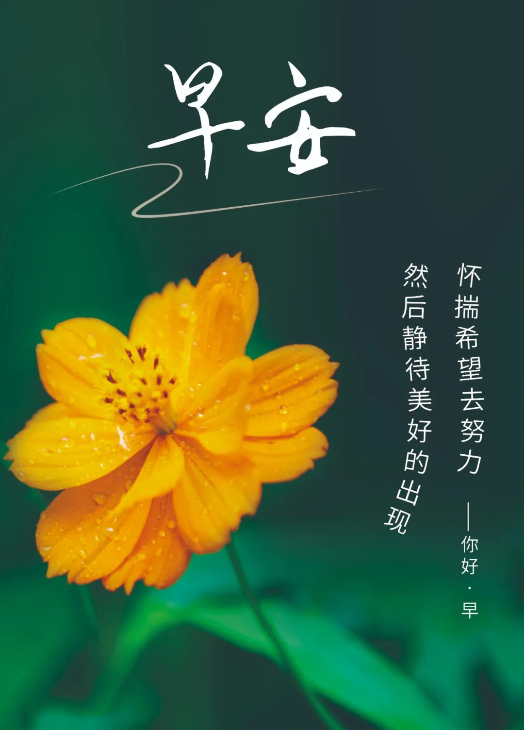 早安心语暖心句子正能量励志,早安心语正能量一句话简短图片