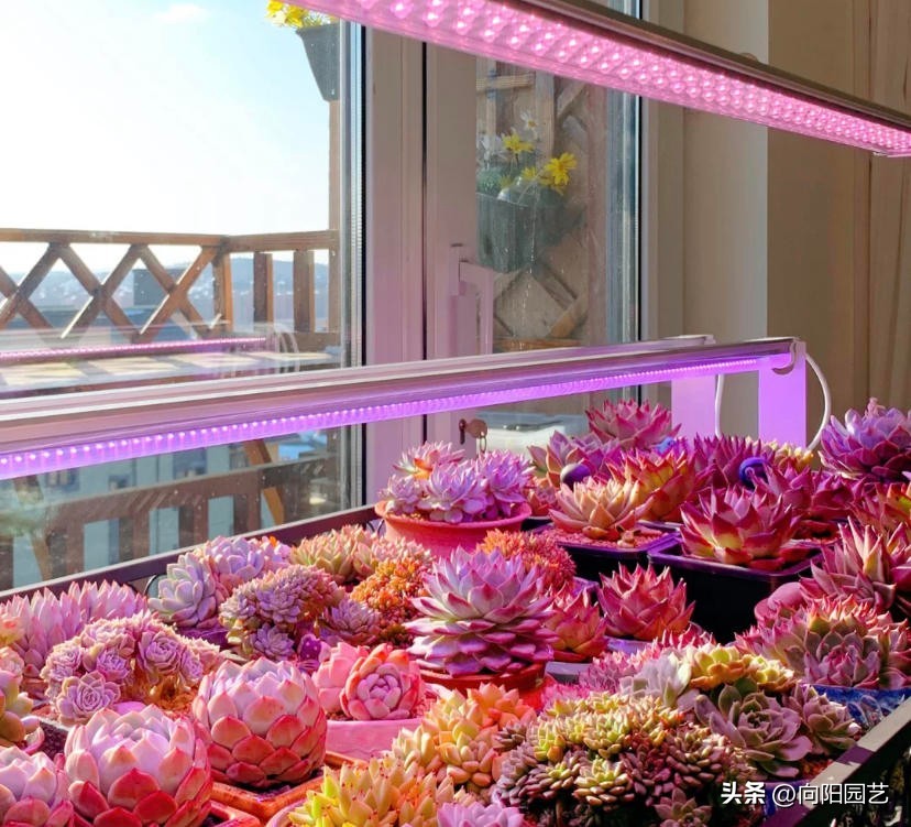 100元左右补光灯怎么选,便宜的补光灯有没有用