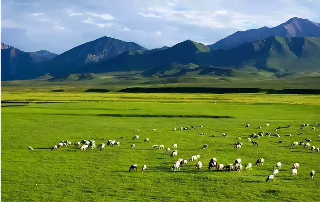 买包不能解决的问题,买包解决不了的事情