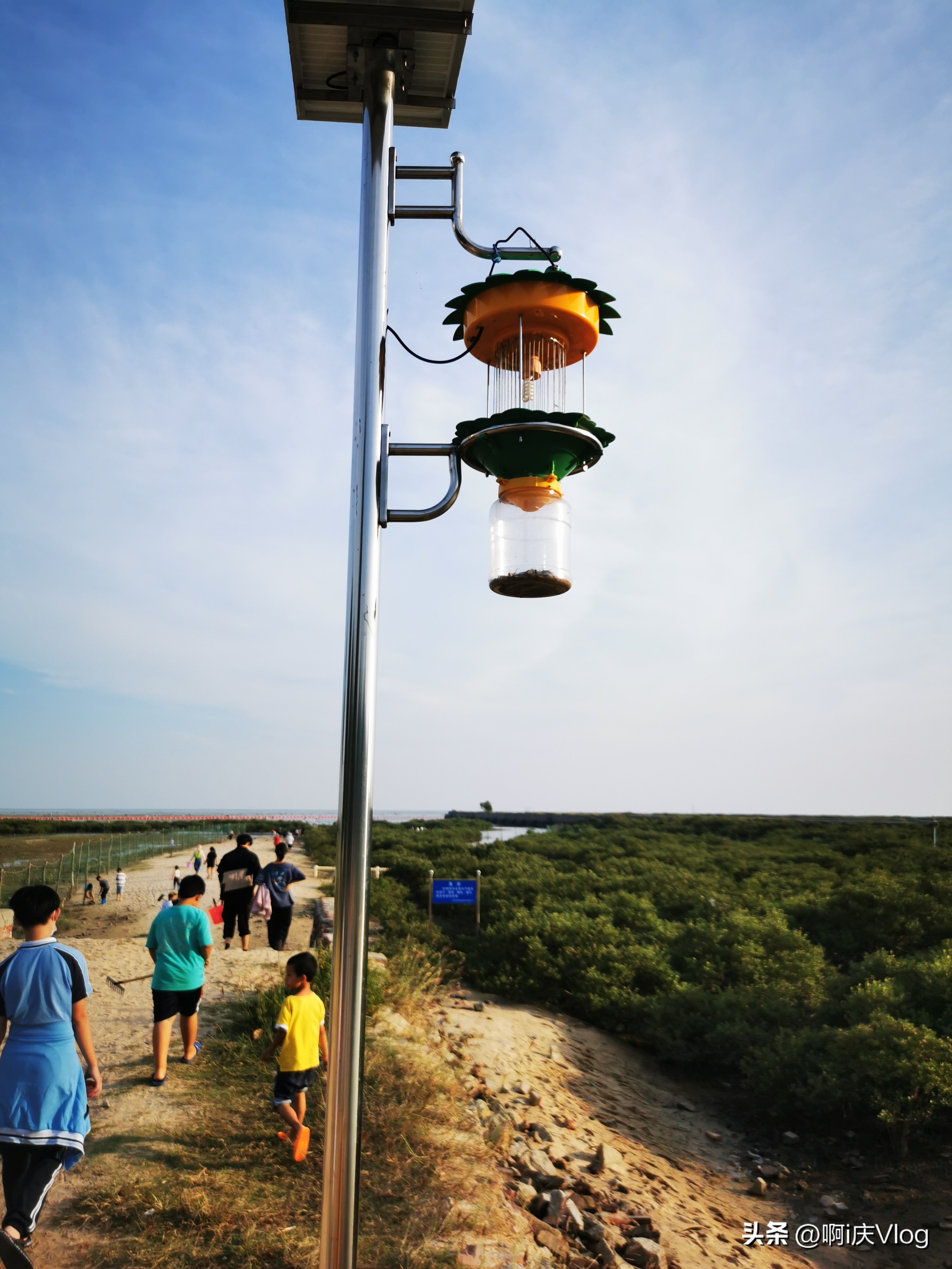 上海疫情过了什么生意好做,疫情结束后做什么生意好