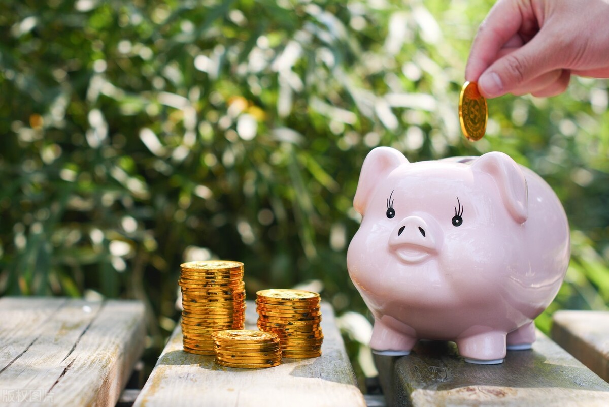 稳健型基金一个月一直在跌,债券基金在熊市表现如何