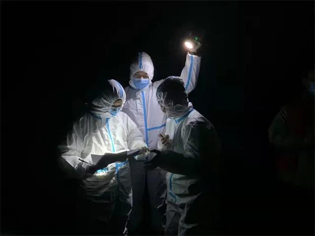 常州市牛牛,牛牛常州