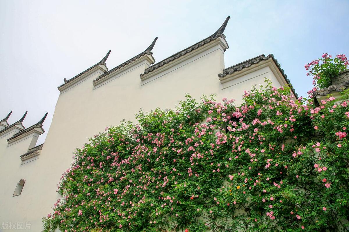 亲姐妹抱团养老4年后,亲姐妹抱团养老四年后却成为路人