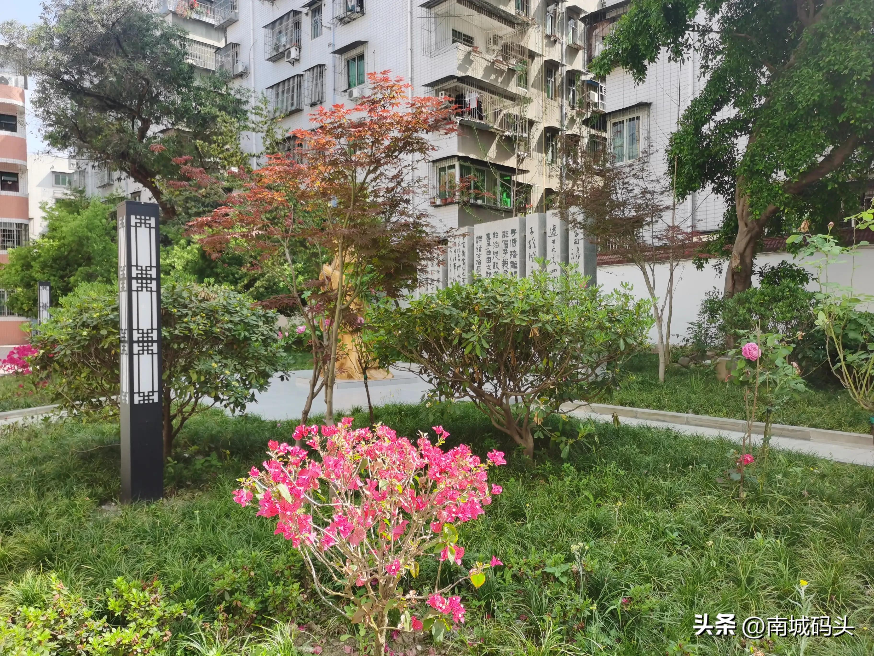 小学生优秀作文旅游,七一建党小学优秀作文