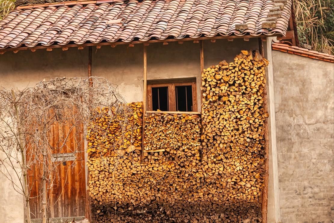 门口不栽五种树,家运衰败的十大征兆