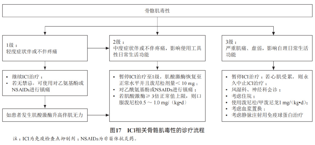 消化系统恶性肿瘤合理用药指南,胃肠道肿瘤免疫治疗前景