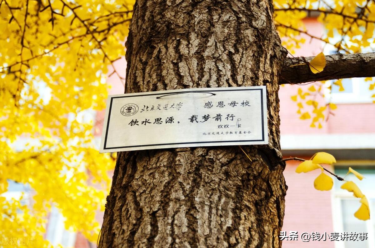 高考加油之高考进行时北京的大学今日分享211大学之北京交通大学