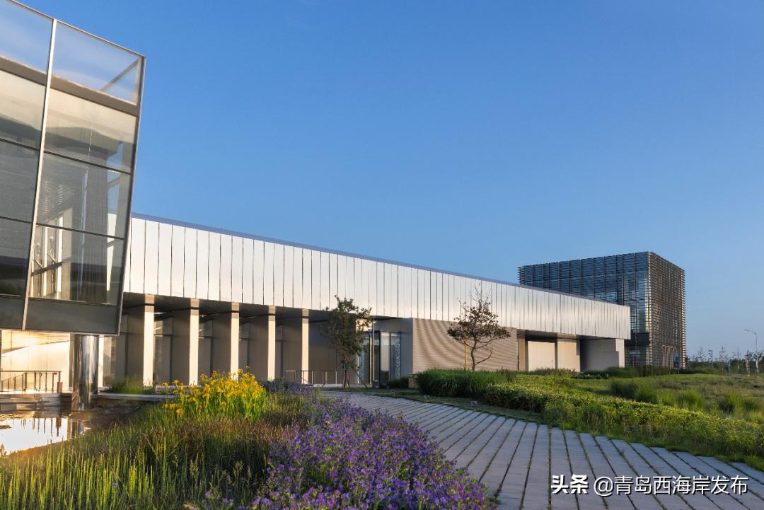 青岛森林野生动物世界等新区四家4*级A**景区免门票！（附假期游玩全攻略）