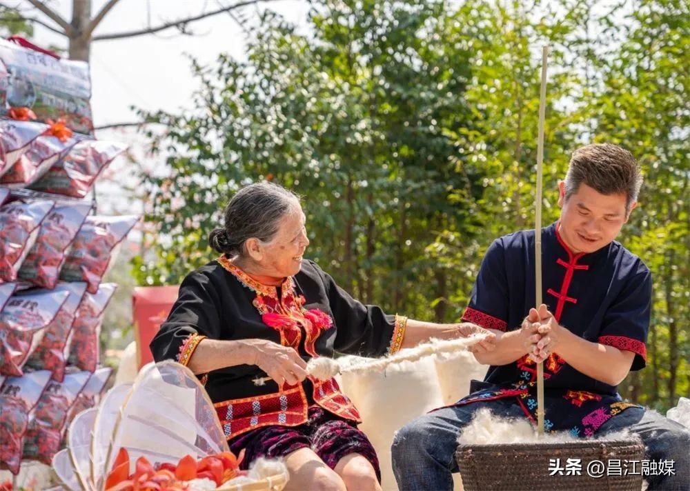 昌江乡村木棉花,昌江木棉树种植