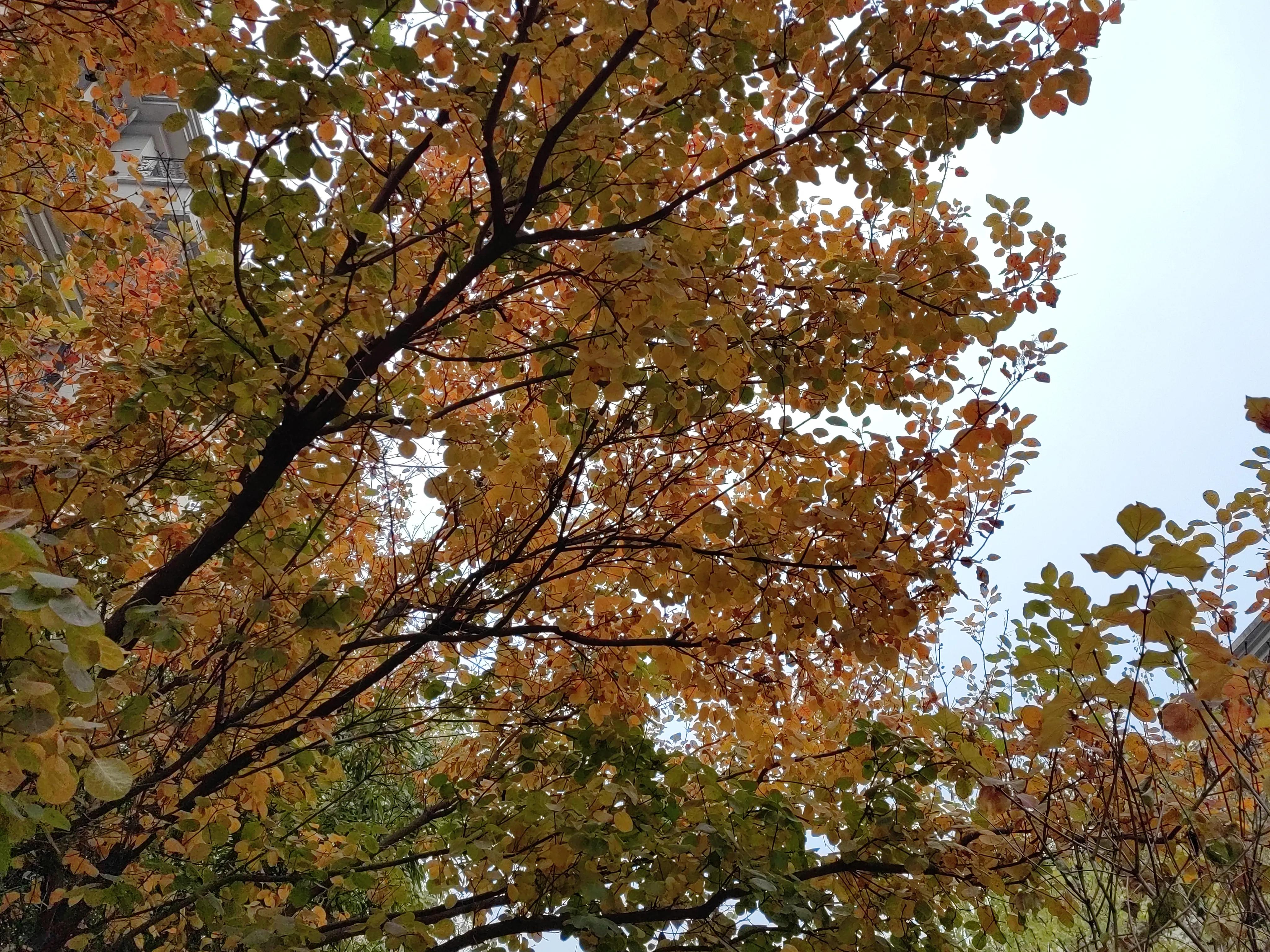 封控期间，一个人一见到我，就说他快疯了。怎么办呢？