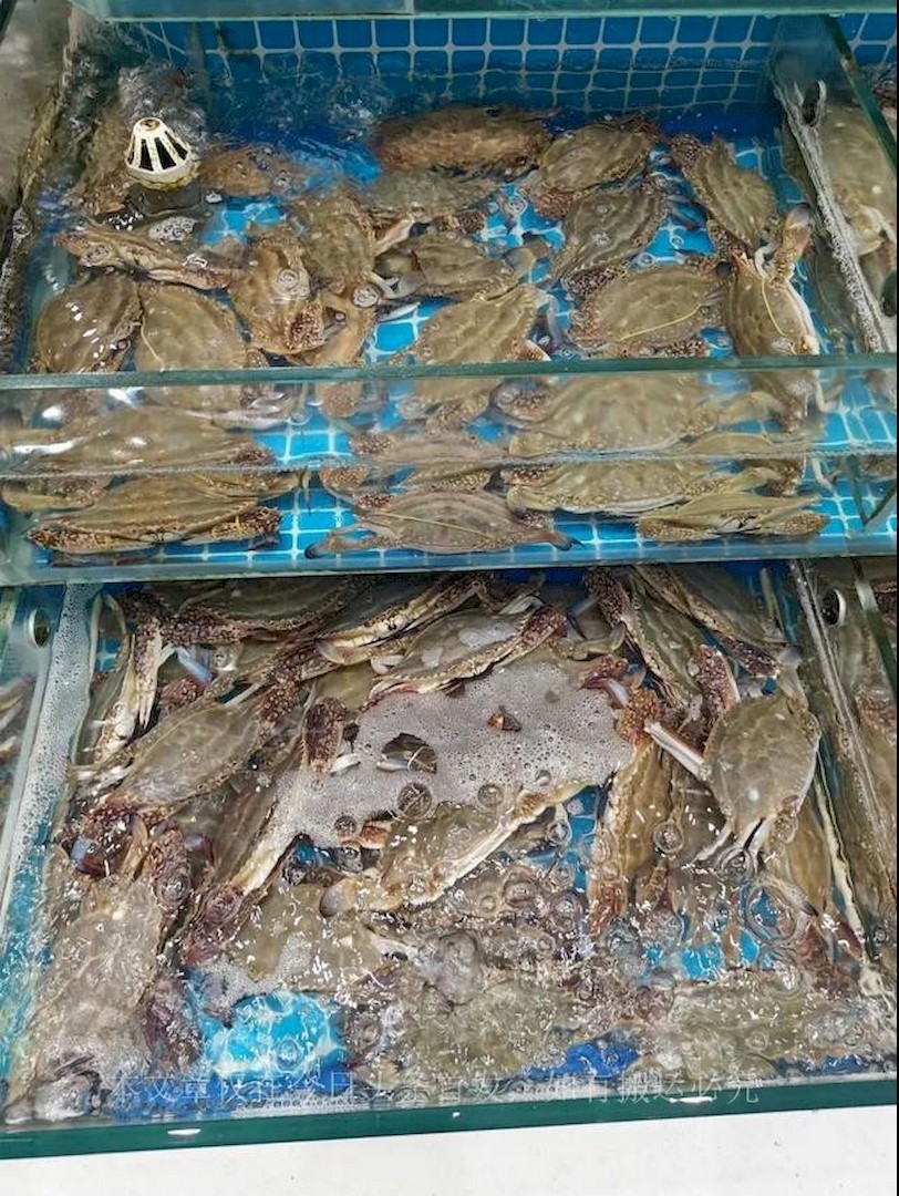 开渔第一天海鲜价格,开渔期第一波满载而归