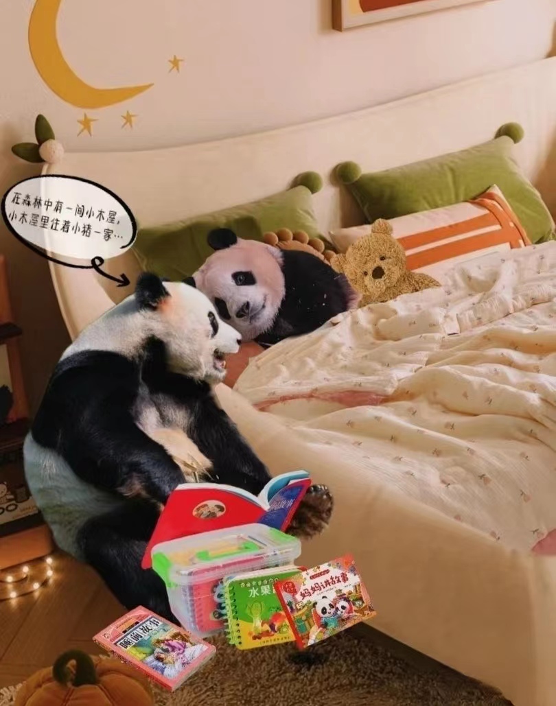 近期福宝和姜爷爷的视频,福宝回国姜爷爷和宋爷爷上热搜