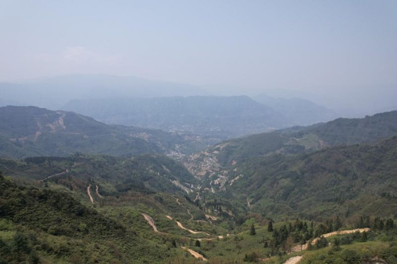 良品铺子野山笋官方旗舰店零食,好原料造就好味道