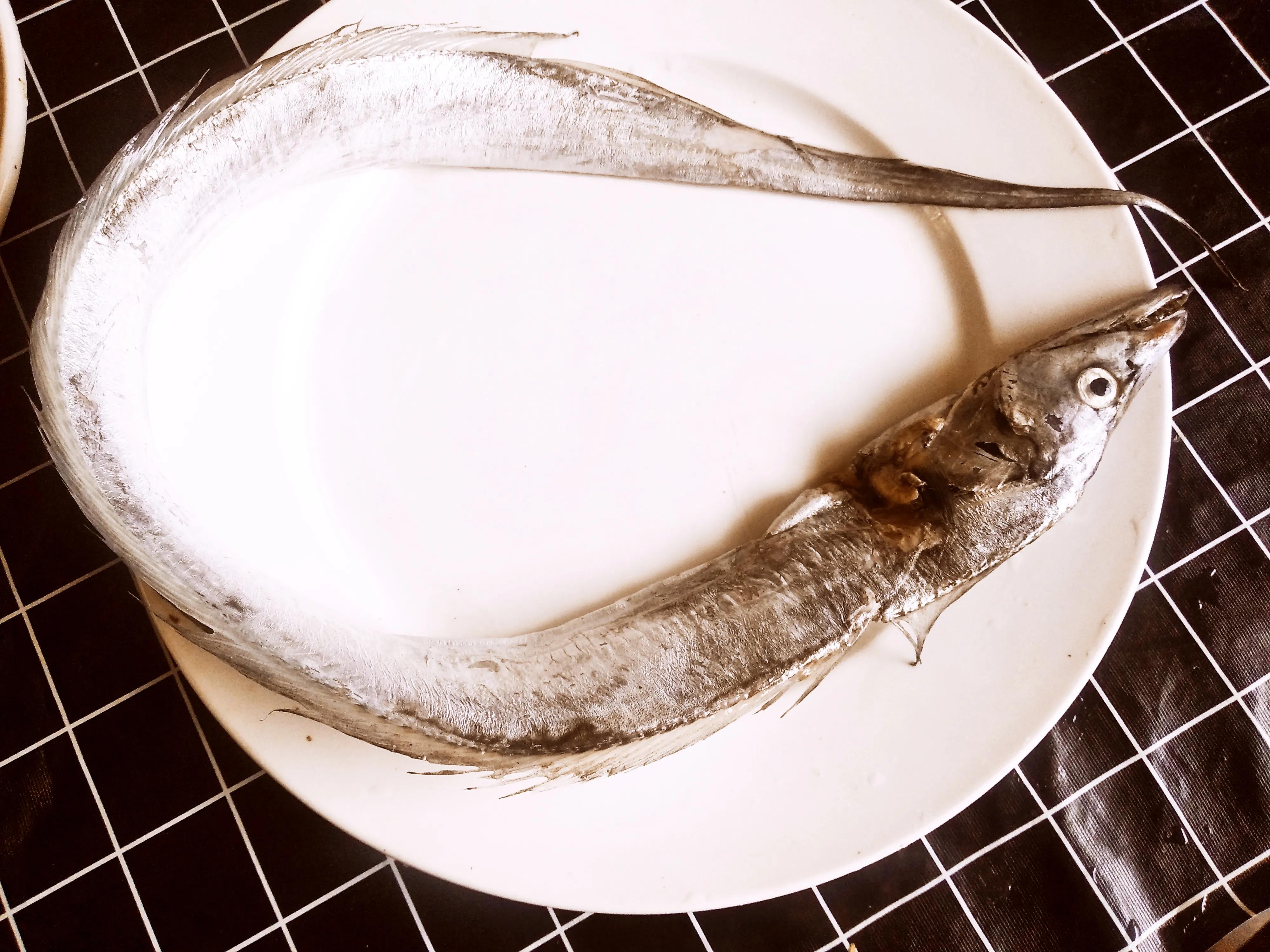 带鱼是深海养殖吗,带鱼是深海的还是养殖的