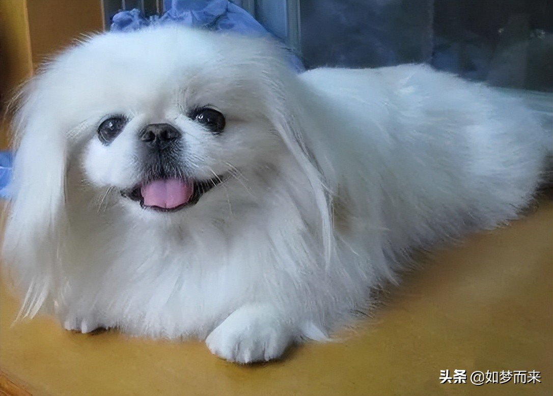 发生在我身边的趣事日记,发生在我身边的廉洁小故事