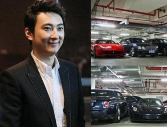 最有钱女明星刘亦菲,刘亦菲秀名贵翡翠大耳环