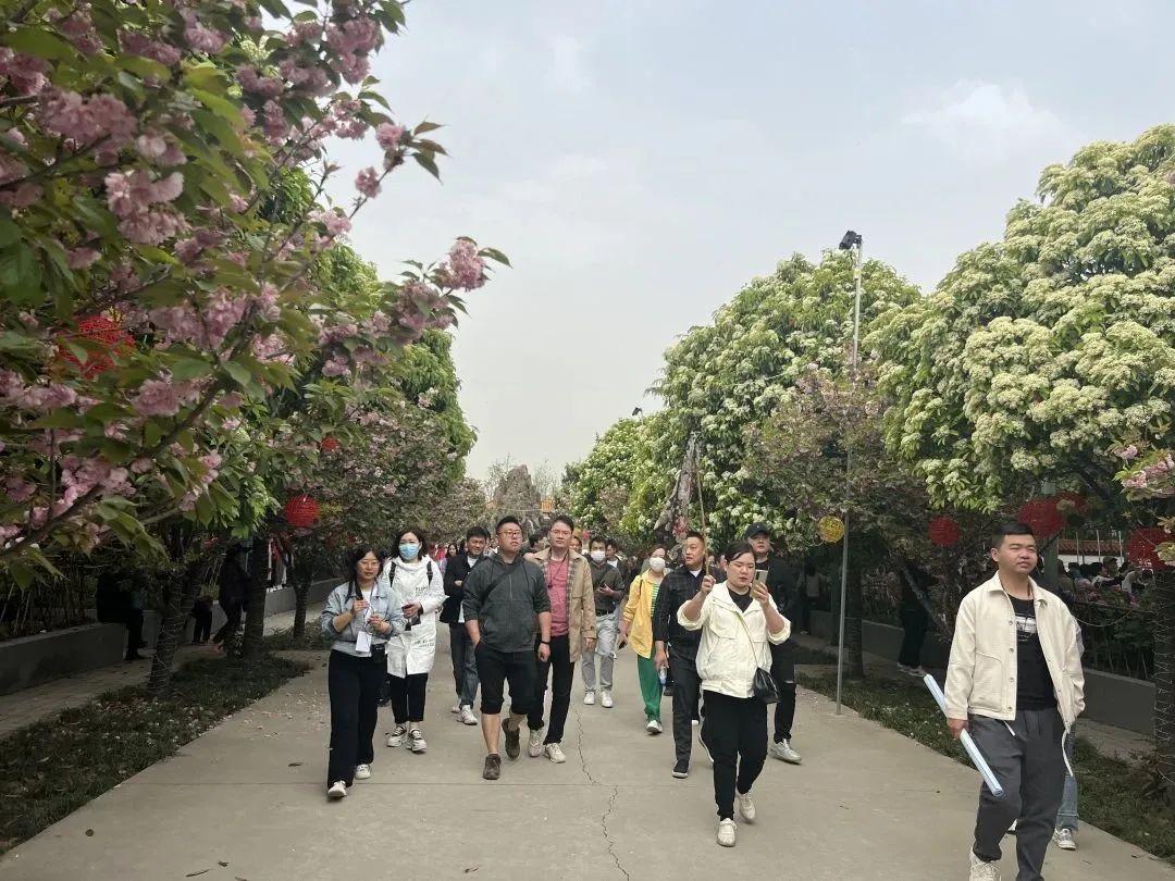 设计知旅第64期丨郑在洛地：设计师职业探索走进神都洛阳