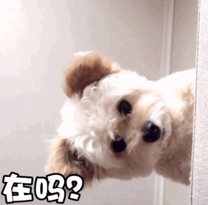 租房选到这层楼，人间第一冤大头