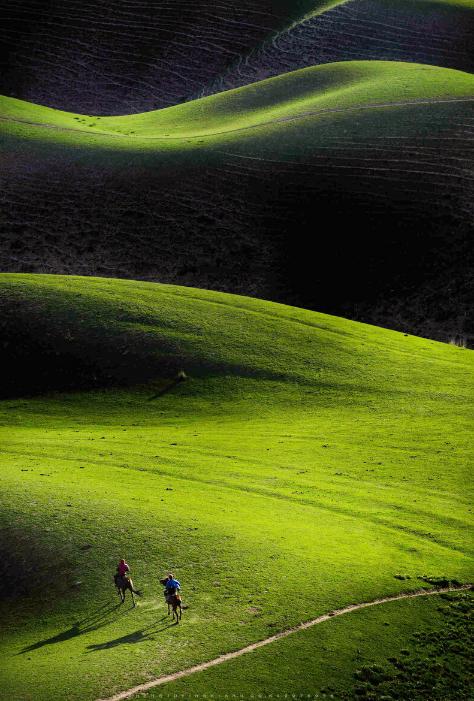 那拉提空中草原雪景照片,大草原的壮丽雪景图