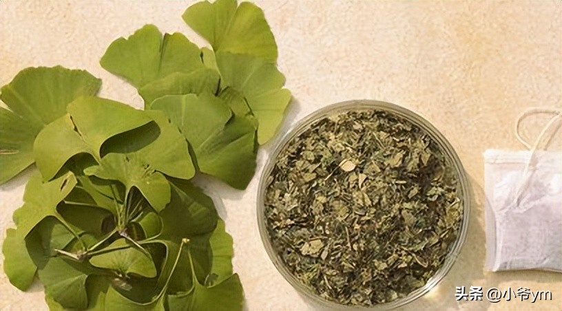 银杏茶的喝法和禁忌,吃银杏果喝什么茶好呢