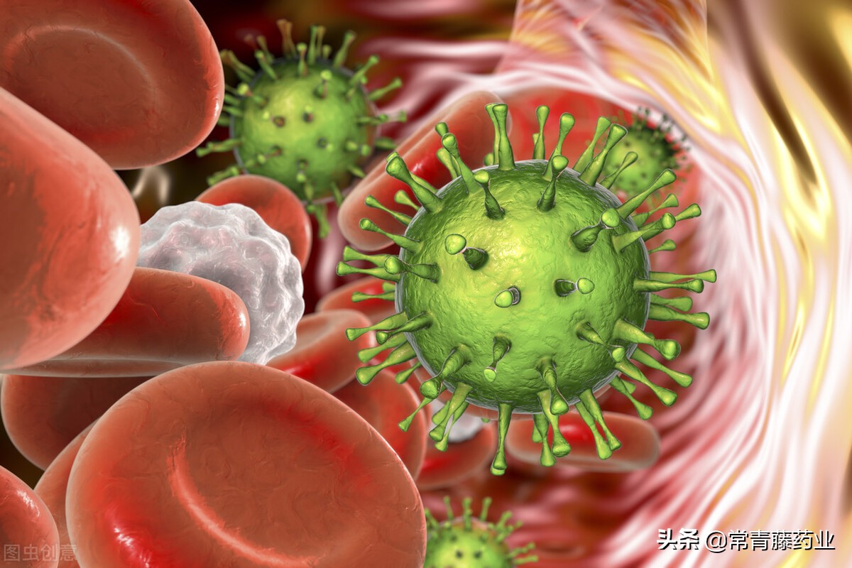 单纯疱疹和带状疱疹的区别是什么,带状疱疹是什么引起的呢