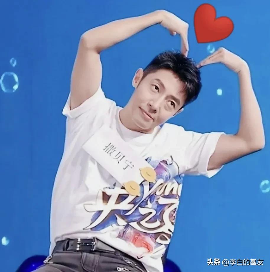 美文语录撒贝宁,撒贝宁封神语录