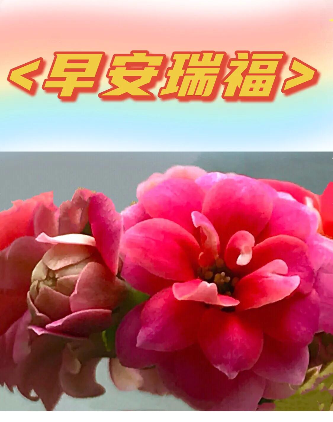 早安吉祥图案,早安吉祥动态美图