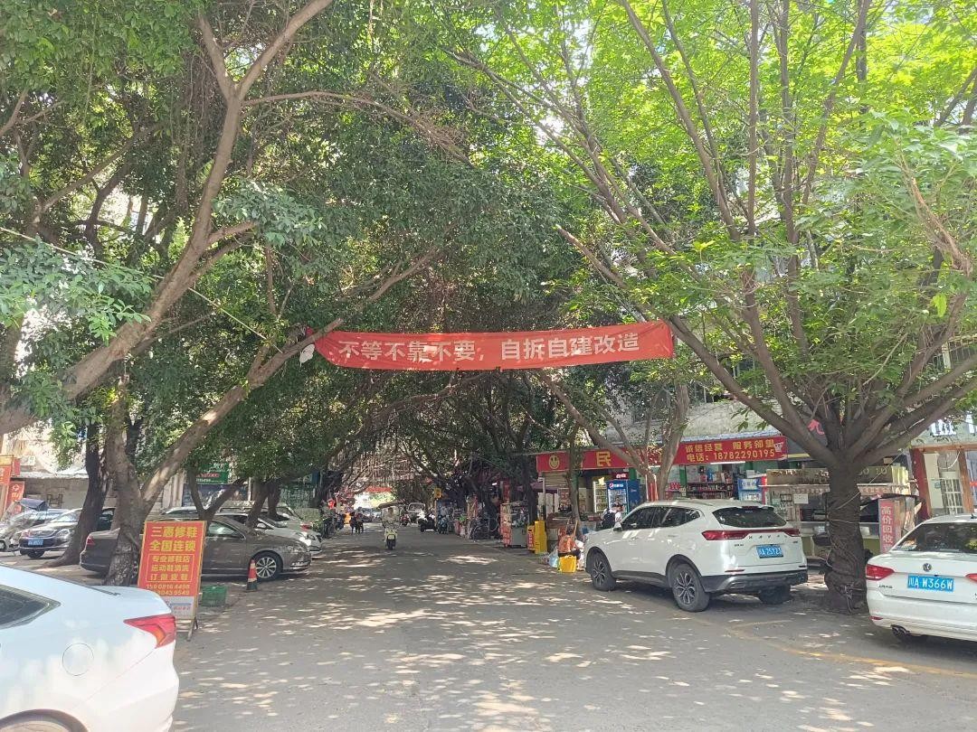 小区旧楼住户能不能自己拆了重建,社区自建房老旧可以拆除重建吗